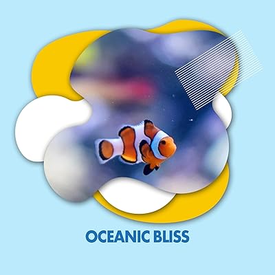 Coffeyville Whinchat