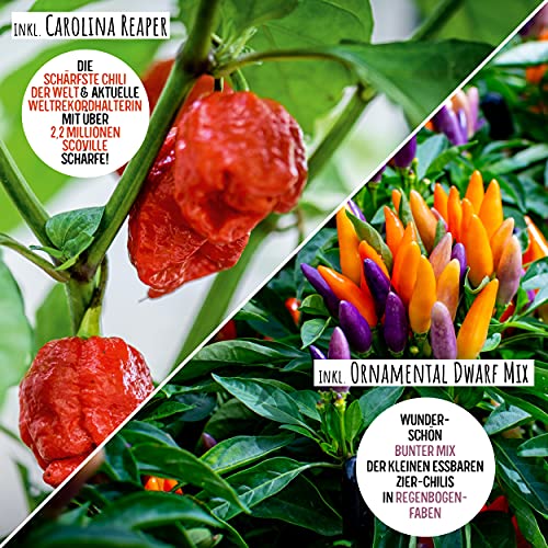 VALEAF Chili zaden set - 12 scherpe tot milde zaden van chilipepers van de hoogste kwaliteit - van Carolina Reaper zaden… - Afbeelding 8