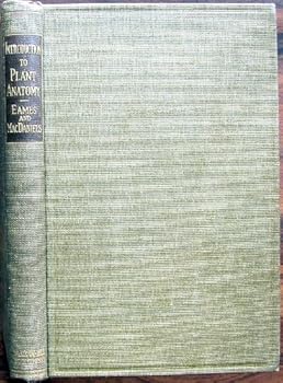 Hardcover Introduction to Plant Anatomy Book