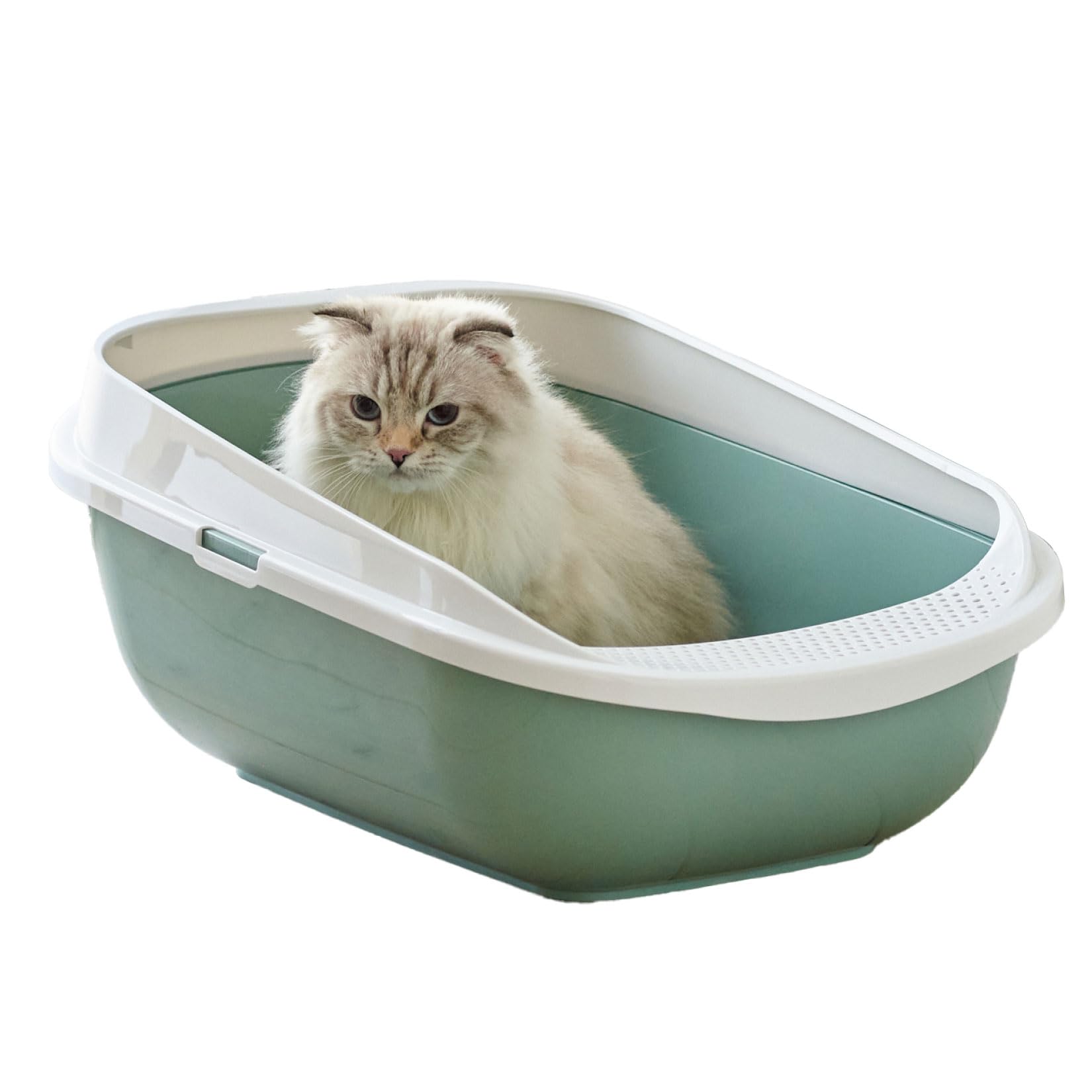 ねこ Amazon.co.jp: 【OFT】 メガトレー ライト ソフトグリーン