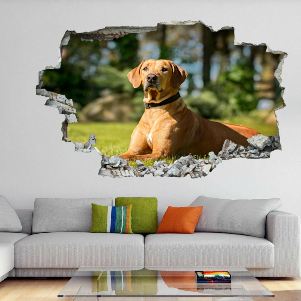 Decorazioni da parete Adesivi 3D fracassati Cane Rimovibile Art Wall Tattoo Famiglia di animali Decalcomanie da muro per la casa Nursery Ragazze Bambini Soggiorno Camera da letto Decorazione