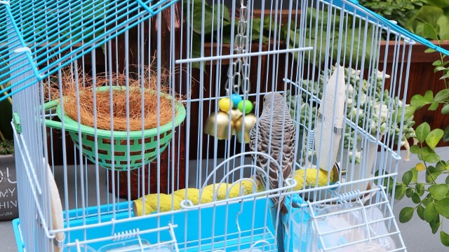 VTurboWay 2 Pack Pet Parrot Bell Toy Bird Chewing Toy Stainless Steel Hanging Bells for Bird Parrot Conure Cockatoo Macaw African Grey Amazon Budgie Parakeet Cockatiel Lovebird Finch Cage - image 6