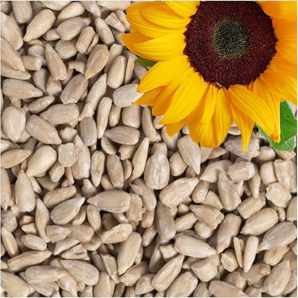 Image of FreshoCartz Premium 1kg Raw Sunflower Seeds For Eating | Jar Pack for Snacking & Cooking
