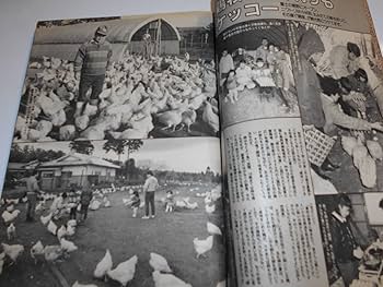 Amazon.co.jp: 週刊ポスト 1985年昭和60年2 22 石川秀美 筒見待
