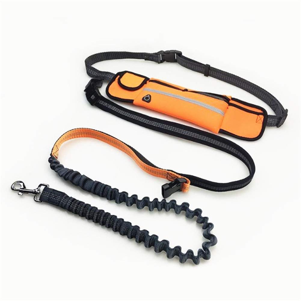 Rosa Hundeleine Leine Hundelaufleine Hände frei Einziehbare Hundeleine Hundeleinen Starke Einziehbare Trainingsleine Für Hunde Trainingsleine Lange Leinen Für Hundetraining Hundelaufleine Orange