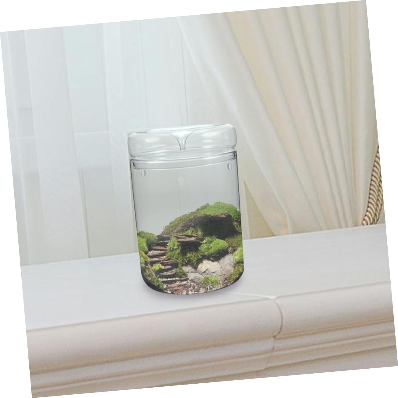 SUPVOX Decorative Micro Landscape Bottle Glass Terrarium Plant Pot for Home Office Patio