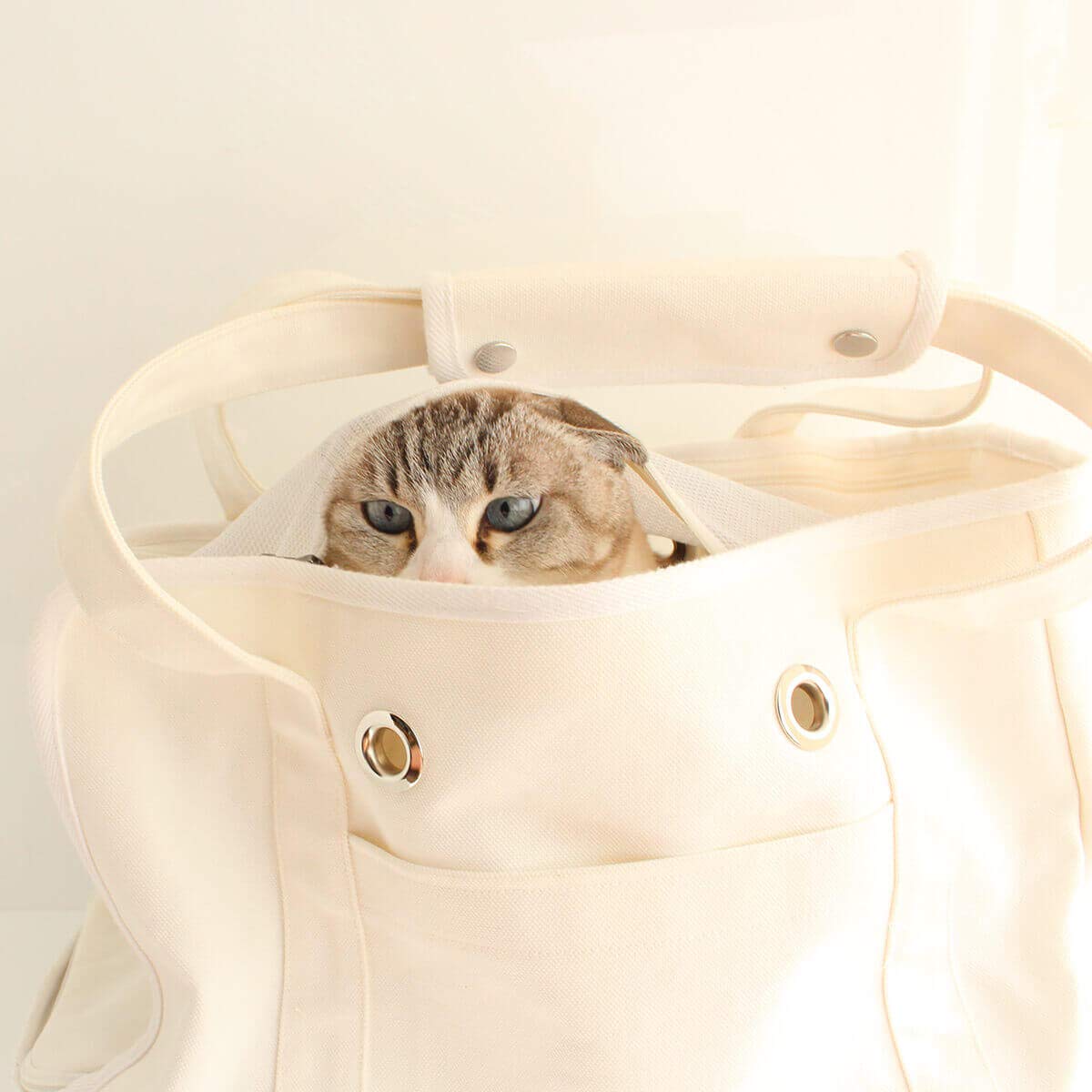 美品♡Neco Sekai 猫用 キャリーバッグ 楽天市場】【送料無料】necosekai ネコセカイ リュックサックキャリー