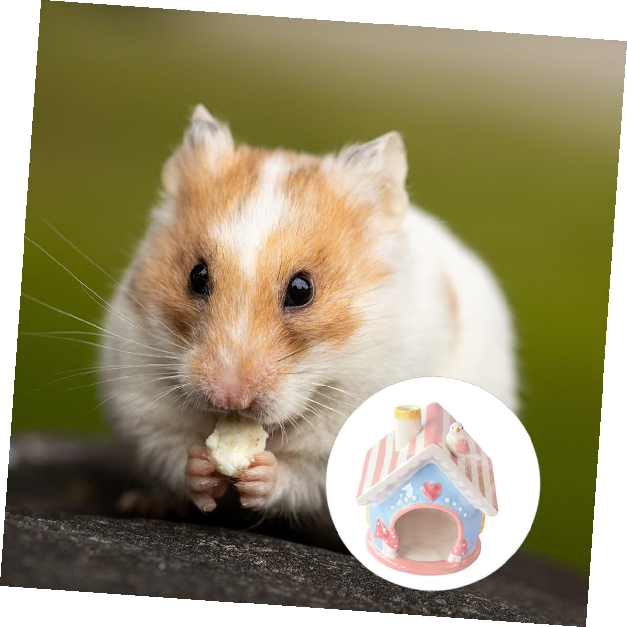 Keramiknest für Hamster und Chinchilla, Komfortabler Versteckplatz Rosa