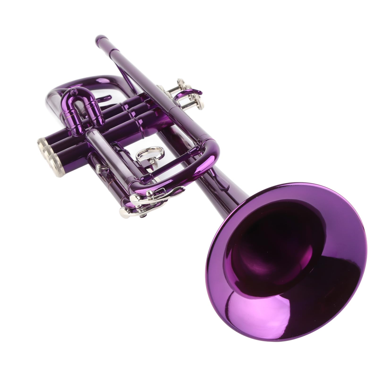 Aramox B-Trompeten-Set für Anfänger mit Koffer, Professionelles Blechblasinstrument mit Zubehör für Studenten und Blaskapelle (PURPLE)
