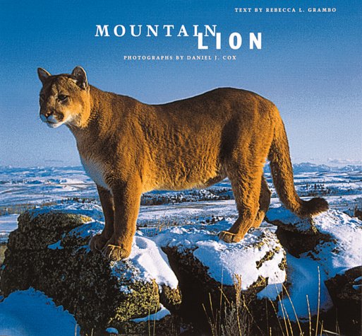  Mountain Lion