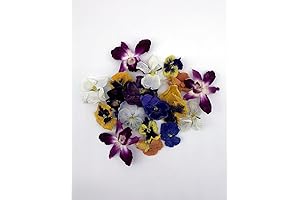 Edible Flower Garnish, Freeze-Dried, Food Grade