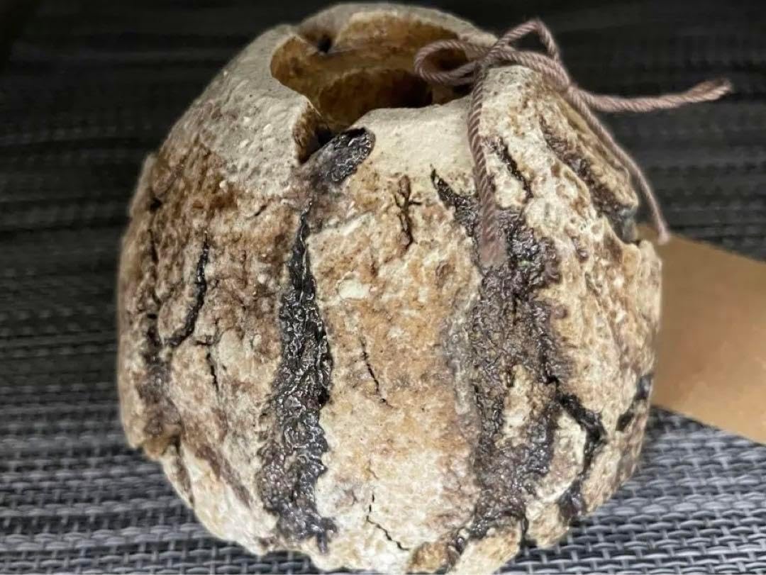 宮本果林 陶器鉢 陶器 植木 盆栽 多肉植物 宮本果林 鉢 陶器 植木 盆栽