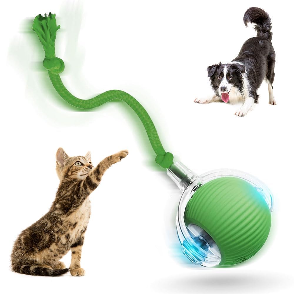 Interactive Rolling Dog Ball 2026 New Self Rolling Dog Ball Interactive Cat Toys Automatic Cat Toy Self Moving