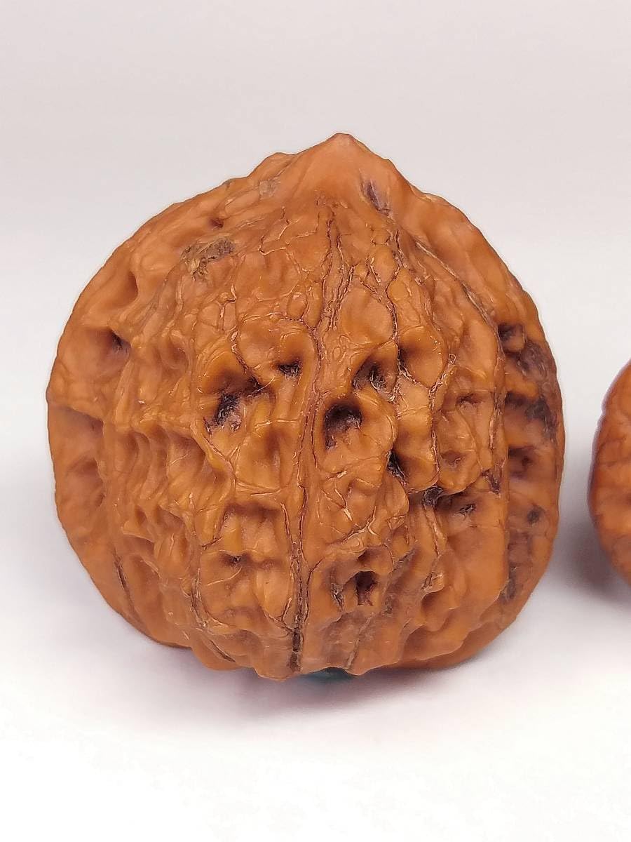 Amazon.co.jp: 壽天然野生最高級特大特殊珍稀品種極品文玩核桃くるみ