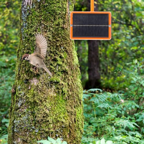Espantapájaros solar electrónico impermeable con emisor de voz para exterior 7