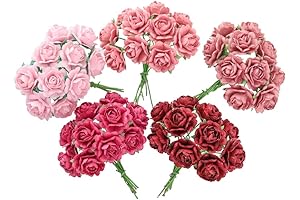 Exquisite Mini Rose Petals for Unforgettable Occasions