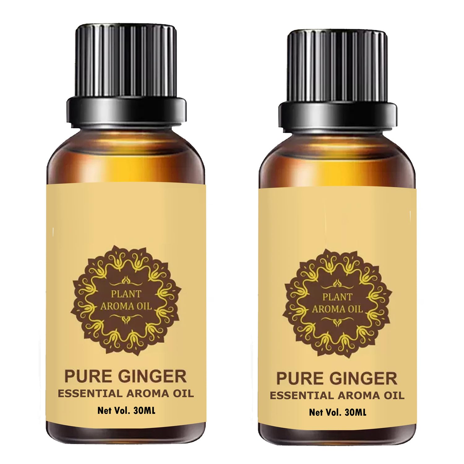 KEYUSH BEAUTY Belly Drainage Ginger Oil 30 ML,Tummy Ginger Drainage Massage Ginger Oil,Ginger Massage Oil for Lymphatic Drainage,Arnica Oil,100% Natural Massage Oil (30ml) 2 Pack (B0CR4HXM56) Amazon Price History, Amazon Price Tracker