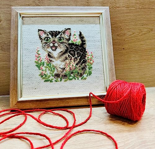 Image of RIOLIS - Bengal Kitten 2119, Cross Stitch Kits 6 inch x 6 inch, Cross Stitch Kits for Beginners & Advanced, Crossstitching Kit Adult, Embroidery Counted Stitching Kit