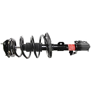 エスター コロッタ① Amazon.com: Monroe Quick-Strut 172781 Suspension Strut and