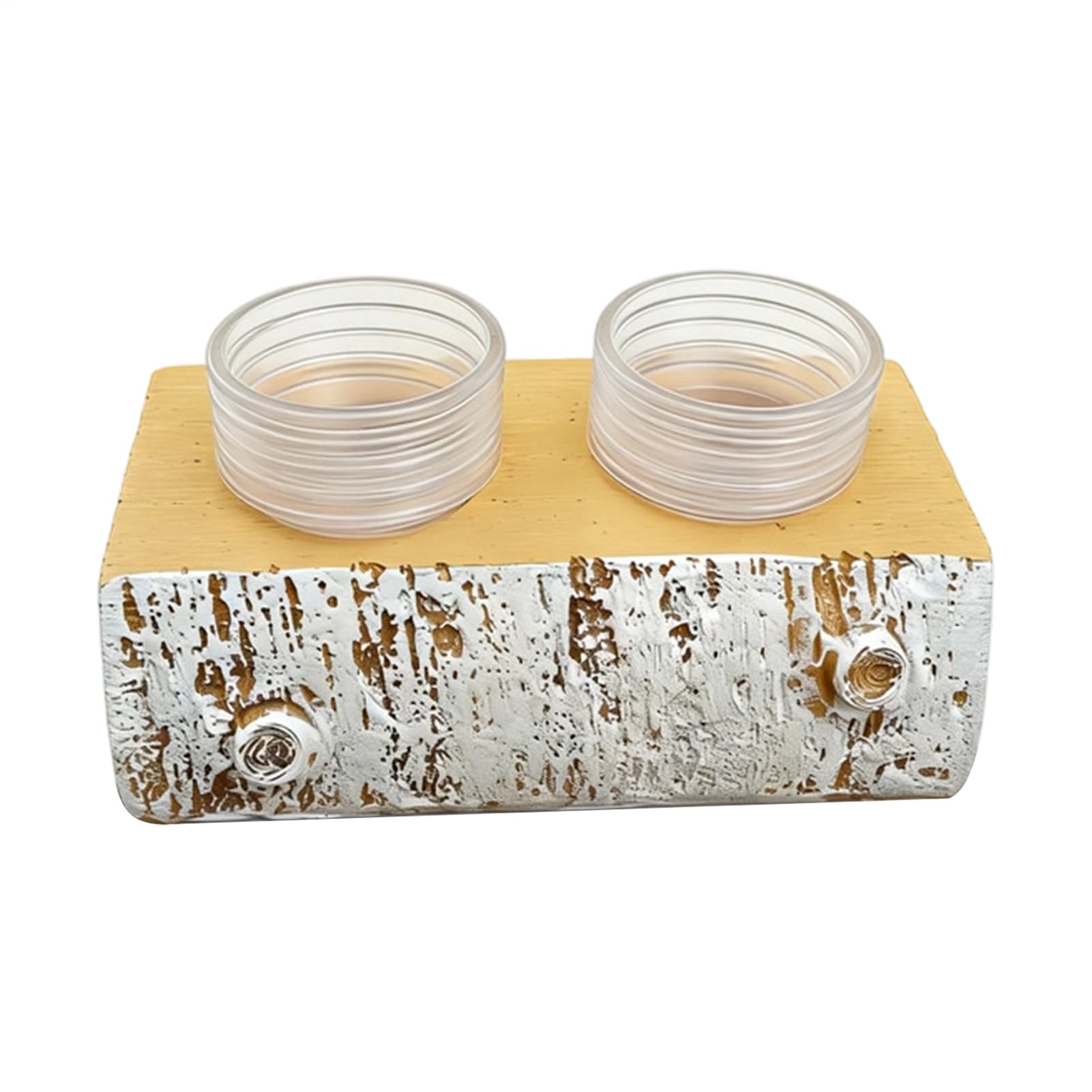 Bols pour terrarium magnétiques anti-renversement pour dragons barbus