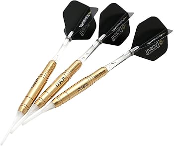 Amazon | ダーツセット 初心者 マイダーツ D.craft ディー