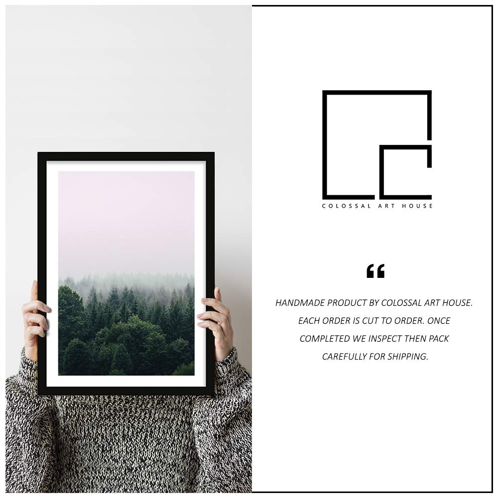 Colossal Art House Nature Poster Frame Large Wall Painting (13x17 Inch Framed Picture with Poster)(Multicolour) 3