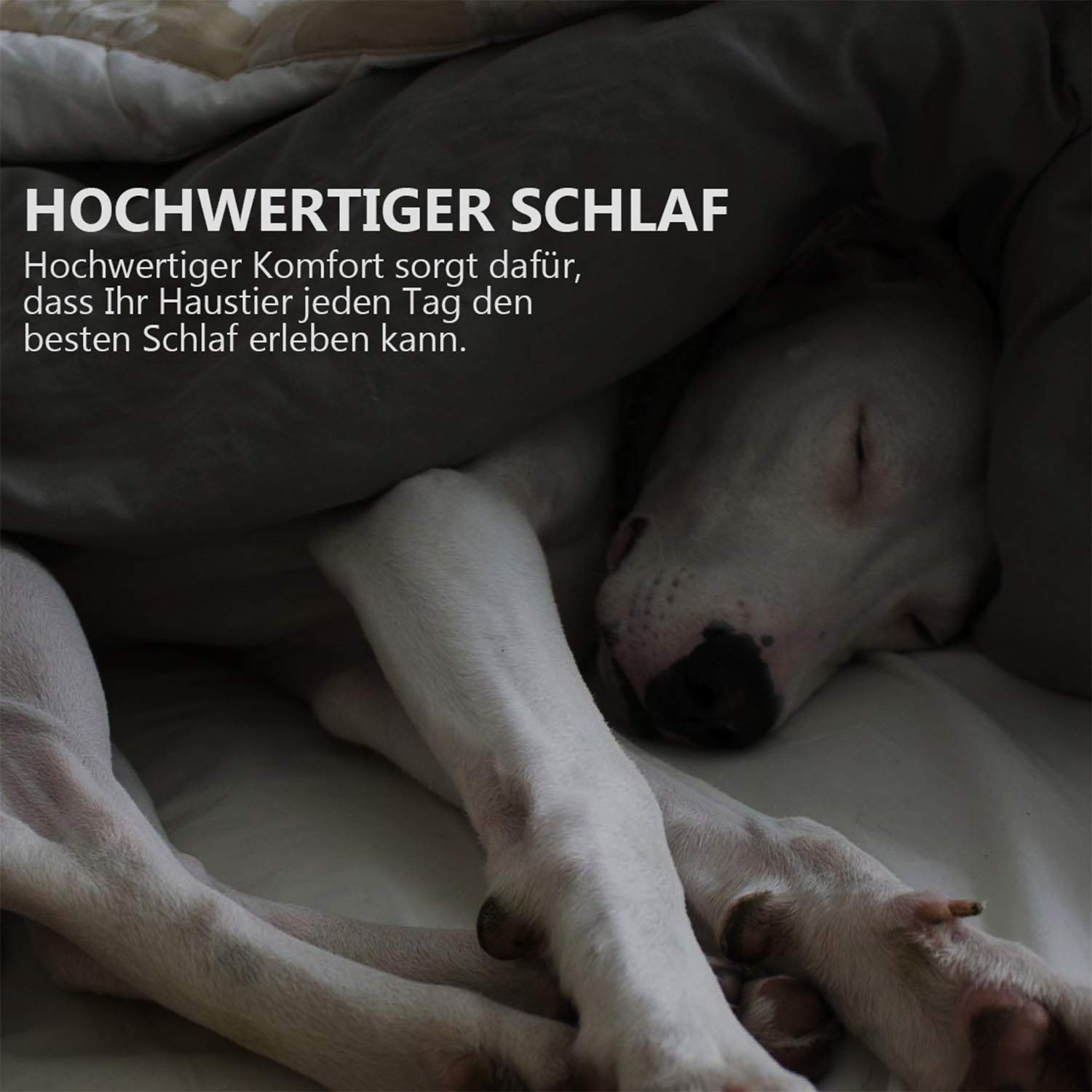 Haustier Katzenbett Kissen Weich Hundebett Warm Hundeschlafplatz Katzendecke Hundematratze Hundesofa Katzensofa (Grau)