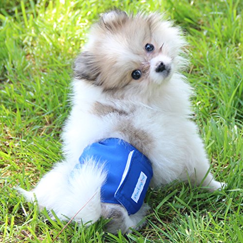Image of Paw Legend Washable Dog Belly Wrap Diapers for Male Dog (3 Pack,Blue,Aqua,Black,XXS)