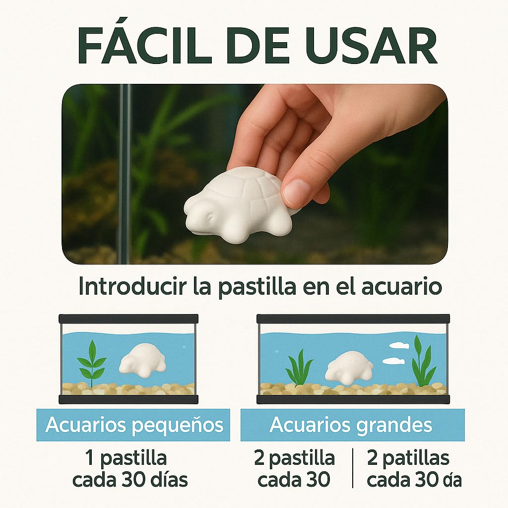 Moly Lot de 30 Blocs de Calcium vitaminé pour Tortues d'eau | Comprimés de carbure de Calcium dissolubles dans l'eau à libération Lente pour Tortues | Renforce la Carapace | Neutralise Le pH de
