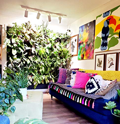 Highland Led Plant Lighting Track System – Warm White Photosynthetic Light - Wide Beam Angle For Plants, Trees And Living Walls 2 – 5 Feet Away - (Hardwired System With Digital Timer, White) #TOP3