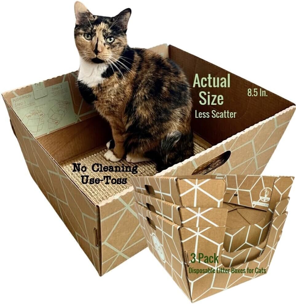Disposable Litter Box 3 Pack with Tall Sides for Less Scatter with Large Cats Perforated Low Entry Elderly Recycled Cardboard 19" L x 17" W x 8.5" H USA Woman Owned Used Daily by Sassy Cat