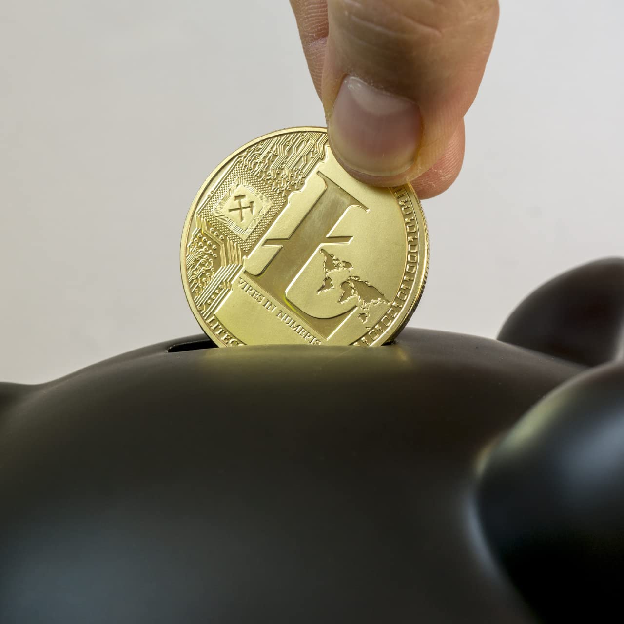 Litecoin Gold Collectible Coin | 1PC Cryptocollect Cryptocurrency Coin |  Secured in Hard Shell Casing | Blockchain Based Gifts for Technology &  Crypto Enthusiasts : Amazon.co.uk: Toys & Games