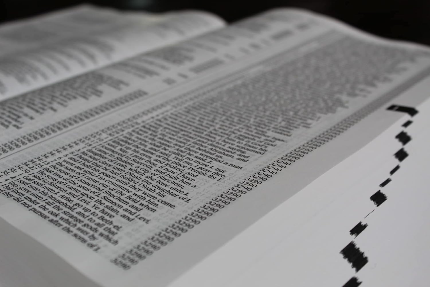 The Strongest Strong's Exhaustive Concordance of the Bible Larger Print Edition: The Most Accurate and Complete Strong's - Image 3