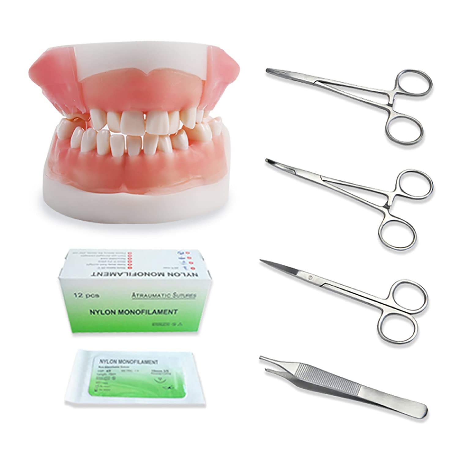 Modello didattico, Kit Modello di sutura Orale simulata, Kit di sutura Dentale Kit di addestramento Chirurgico per sutura cutanea Medica Set di Pratica chirurgica chirurg