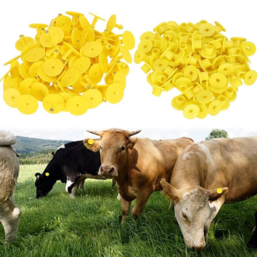 100pcs marchi auricolari di pecora giallo PU marchi auricolari identificazione bestiame etichette auricolari vuote per capra agnello bovini mucche maiali(Giallo)