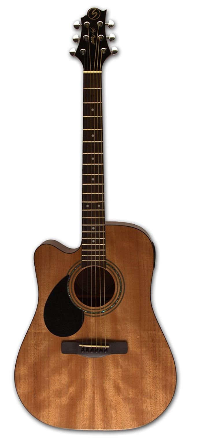 Greg bennett エレガット CT-1CE Greg Bennett D-1CE/BS Electric