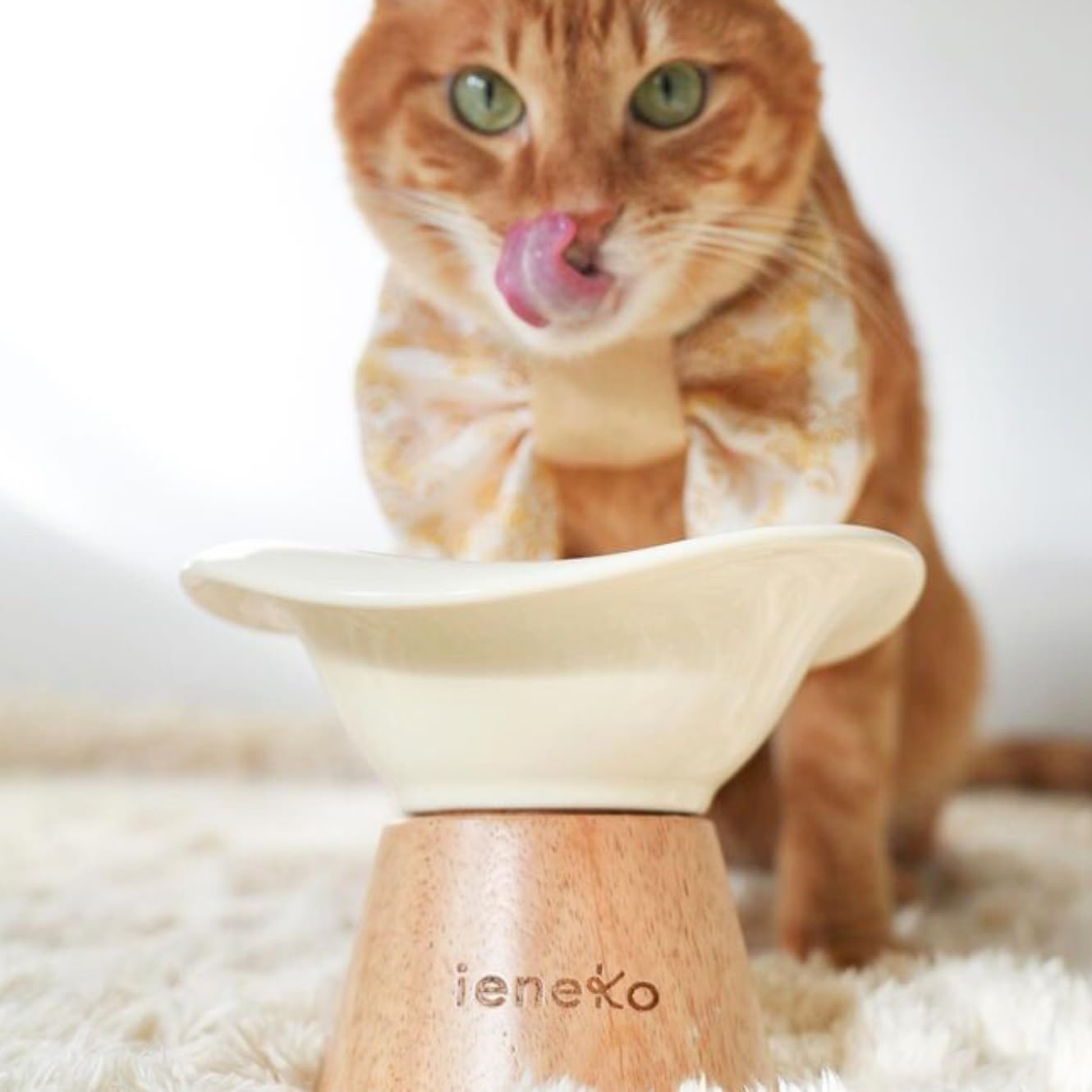 Amazon | ieneko 猫 皿 陶器 セラミック 脚付フードボウル 猫ボウル