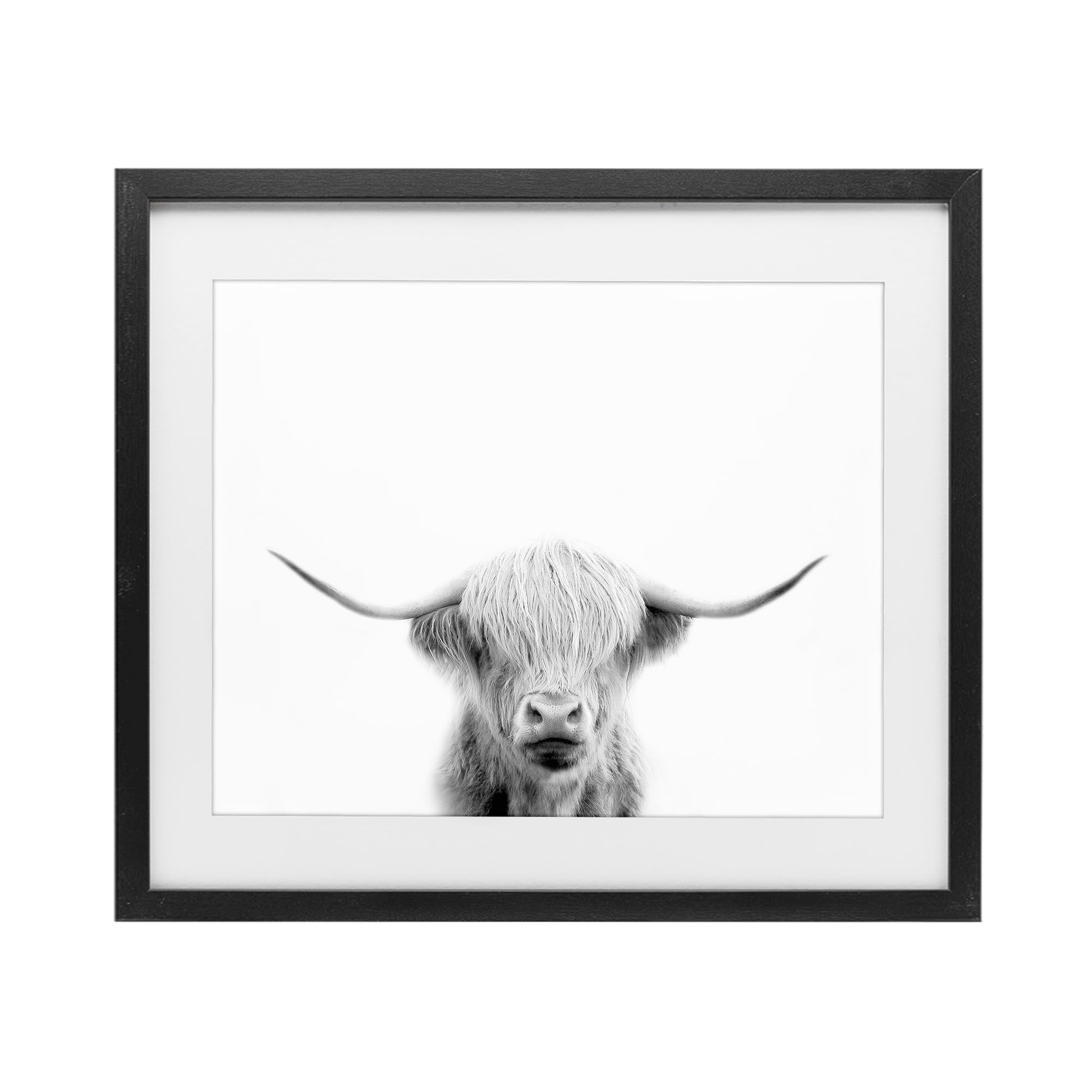 Stupell Industries 'Scottish Cow Portrait', Framed Print Under Glass, Black, 16 x 13 Inches, Easy to Hang and Sturdy, Made in USA, by Leah Straatsma