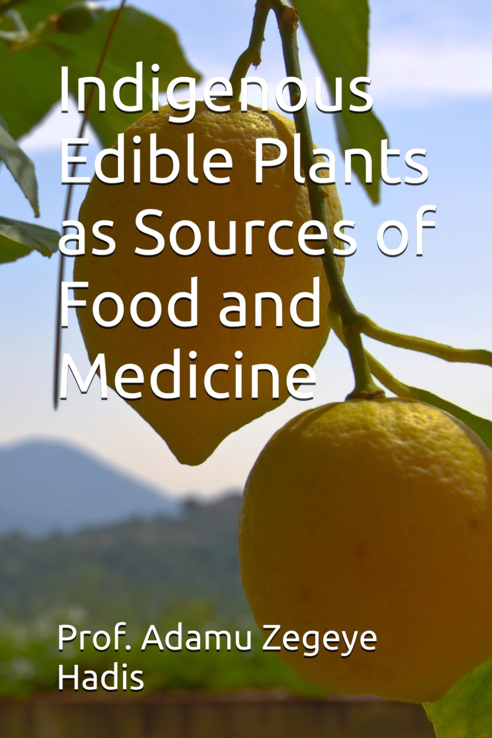 Indigenous Edible Plants as Sources of Food and Medicine