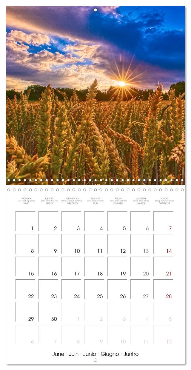Les paysages d'Allemagne (Calendrier mural carré 2026 30x30 cm) Calendrier double avec une page pour vos prises de notes: Les paysages d'Allemagne, aussi uniques que différents