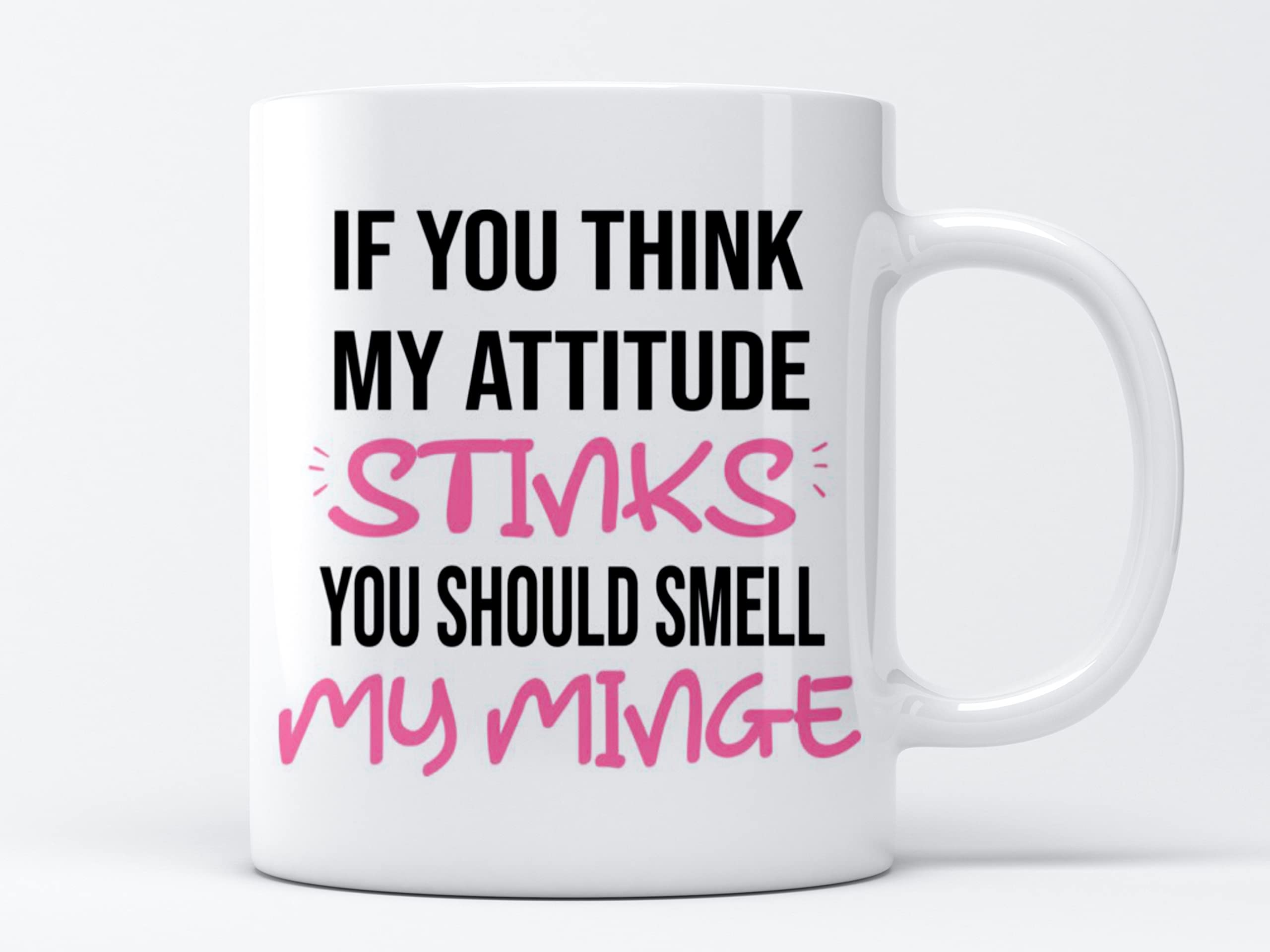 EKAMFunny Text If You Think My Attitude Stinks You Should Smell My Minge Ceramic Mug Gifts Coffee/Tea Mug Gifts for Birthday Present, Gift Present for Christmas for Your Family and Friends (11oz Mug)