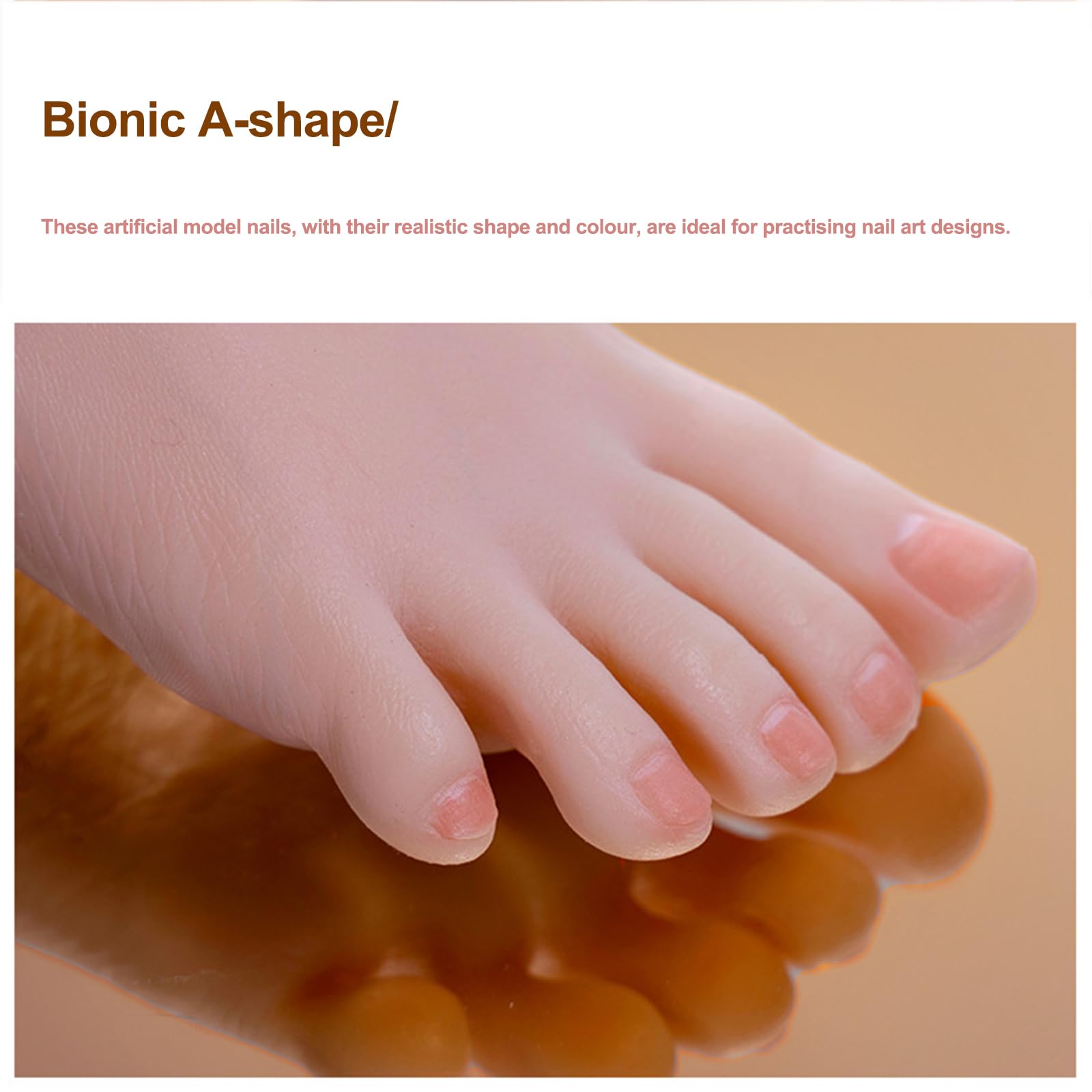Paire de Pieds Silicone Taille 38 Femme Présentation Chaussettes