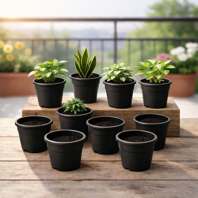 Image of Indian Gardens - 4 inch Indoor (Pack of 10) Plastic Small Colour pots | Plastic Plant Pot for Terrace Garden (Black)