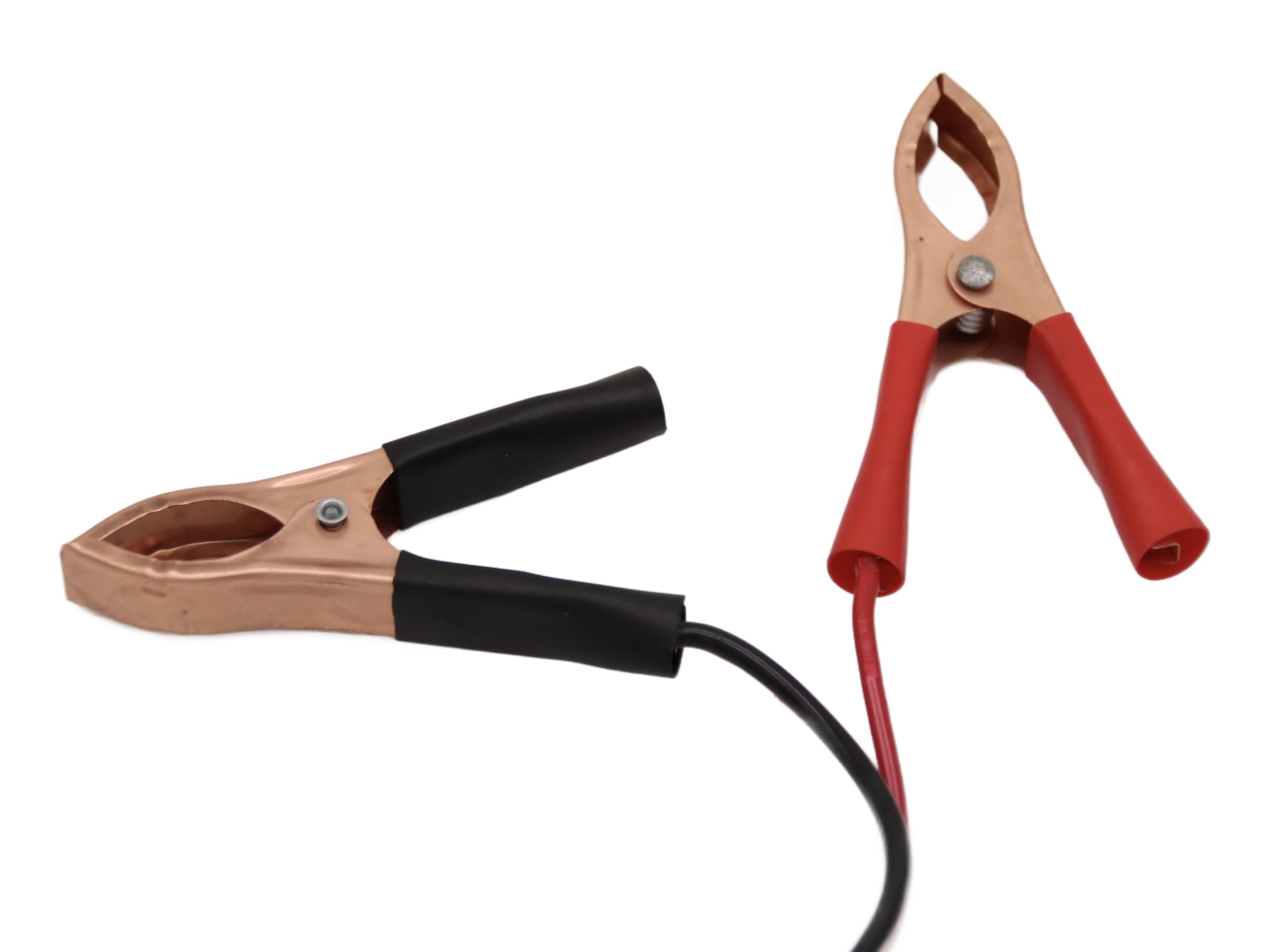 Caricabatteria LiFePO4 da 14,6 V 10 A, caricatore intelligente per batterie al litio fosfato di ferro da 12,8 V, morsetti a coccodrillo, display LED appositamente progettato per batterie al litio
