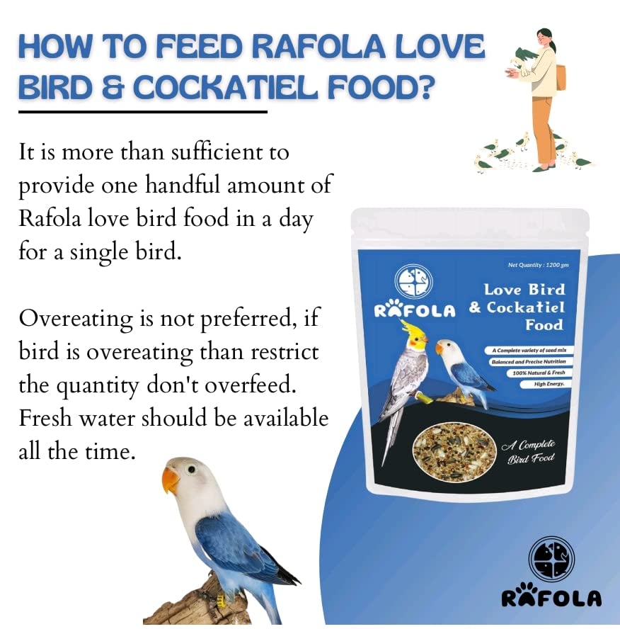 Image of Bird Food For Cockatiel & Love Birds Mix Seeds, Canary Seed, Sunflower Seed- Complete Diet Natural & Fresh 1 Kg, All Life Stages