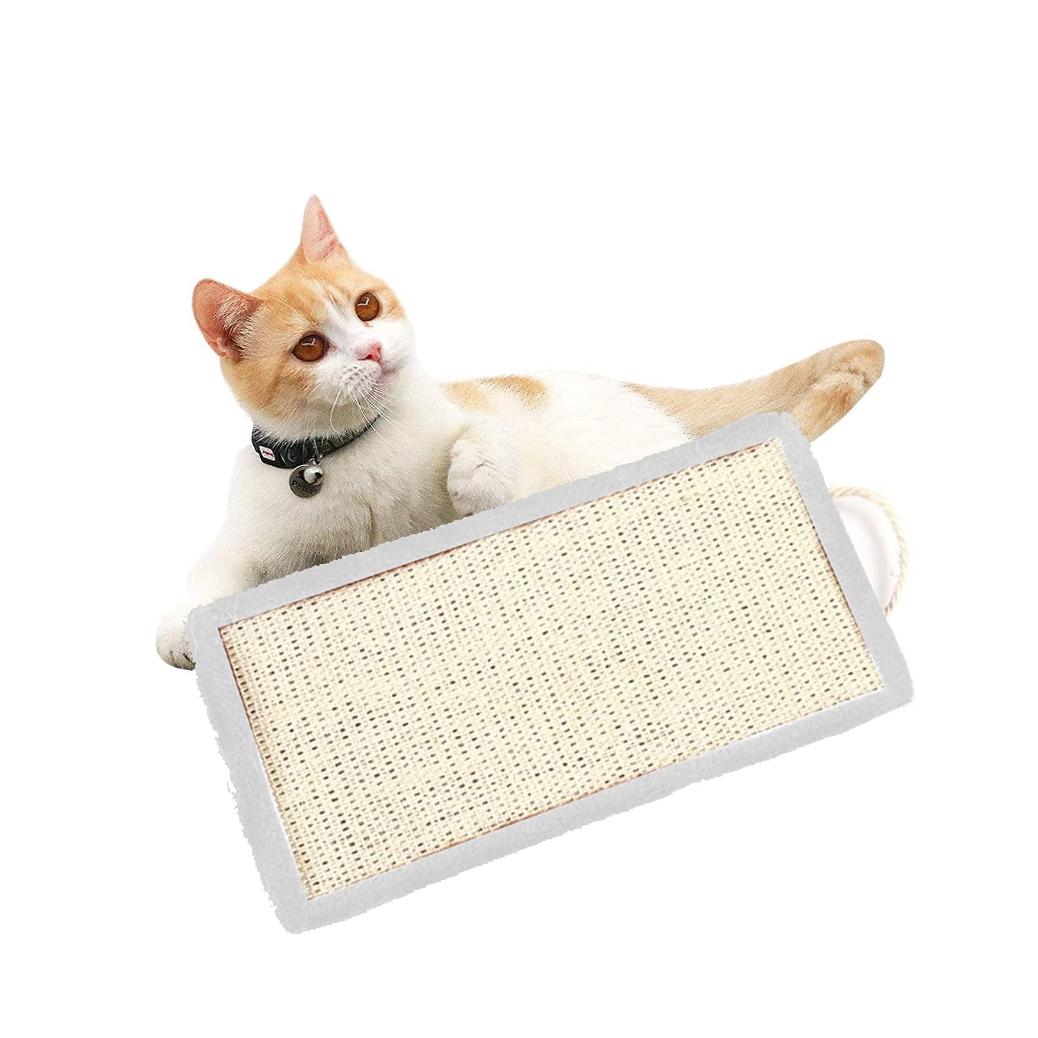 PAWISE Cat Scratcher Cat Pet Products Rectangular Shape Hanging Scratch Pad Pet Play Toys Plush Covered Sisal Slab Cat Scratcher(White) (B0CTQWLDL2) Amazon Price History, Amazon Price Tracker
