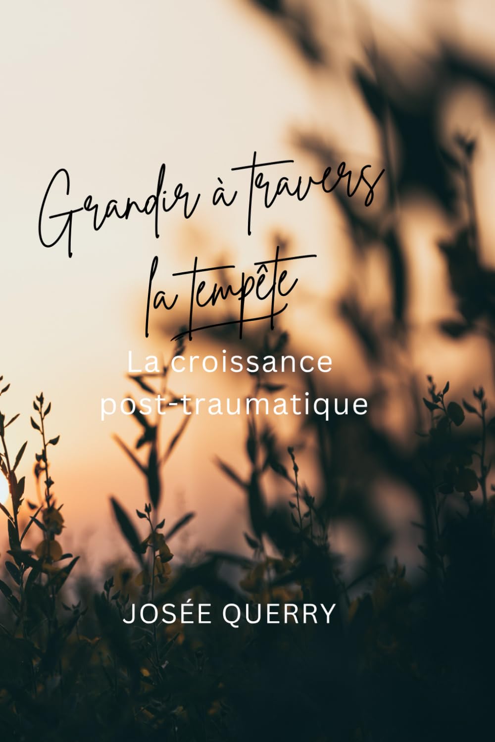Grandir à travers la tempête: La croissance post-traumatique