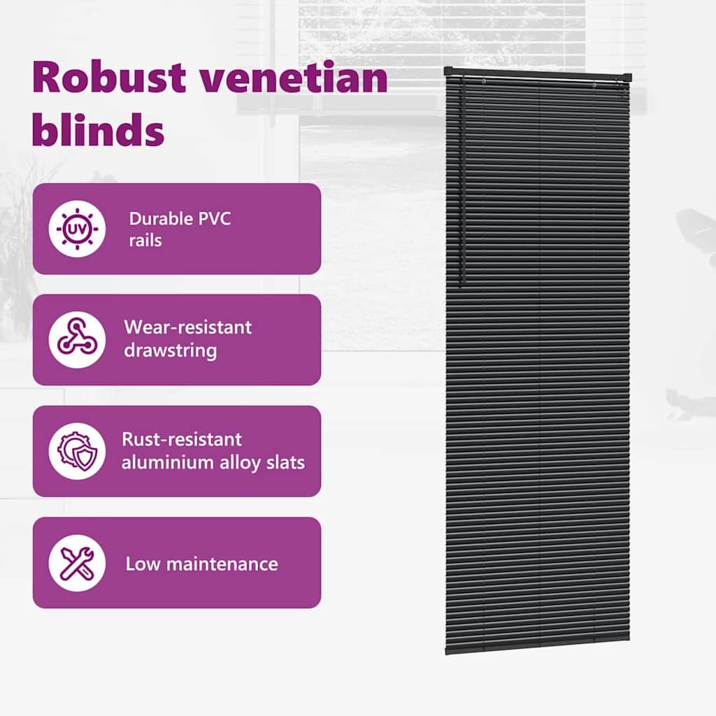 View 4