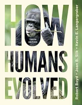 洋書 How We Became Human When We Became Humans: The Story of Our Evolution (Volume 2