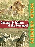  Wild Secrets: Canines and Felines of the Serengeti [OV]